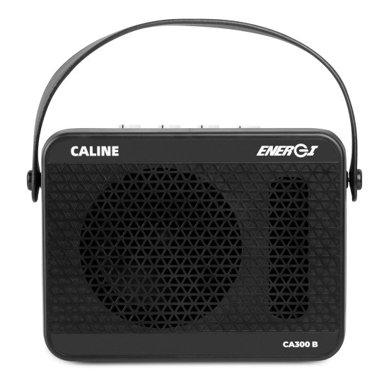 Caline CA-300B 15W Tube-Simulated Ενισχυτής Ηλεκτρικού Μπάσου