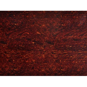 Πλάκα Pickguard Samwoo TT3 Ταρταρούγα