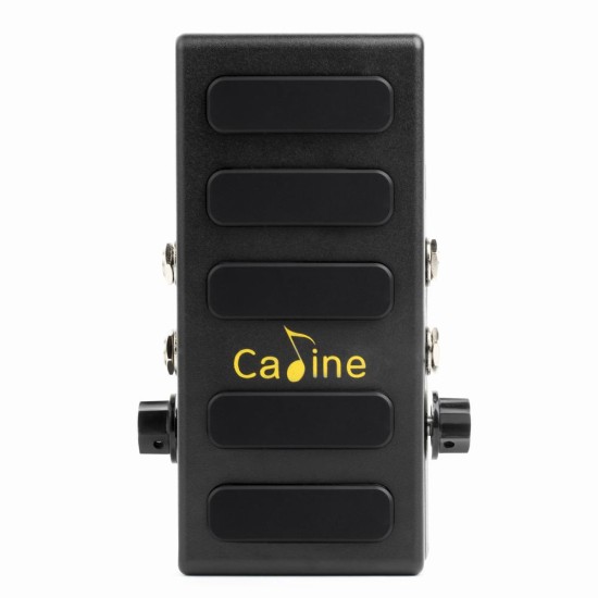 Caline CP-31P Volume pedal