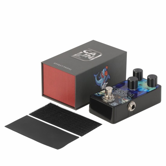 Caline G003 Orca Chorus