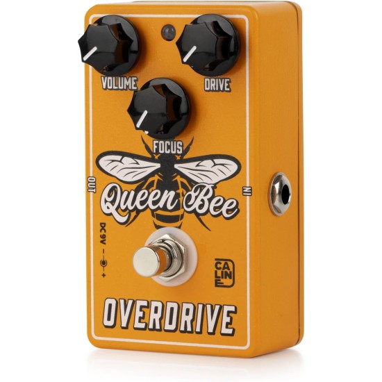 Caline CP-503 Queen Bee Overdrive