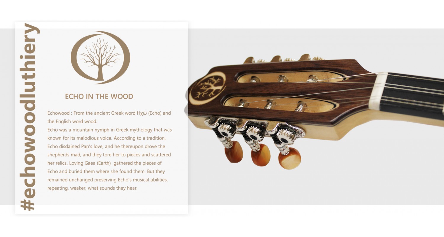 Echowood Luthiery